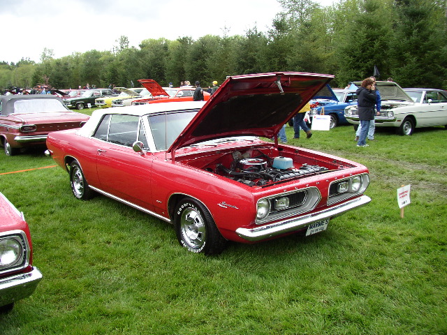 P1010087.JPG